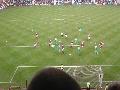 Hibernian