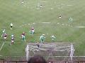 Hibernian