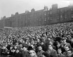 Football fans at Tynecastle